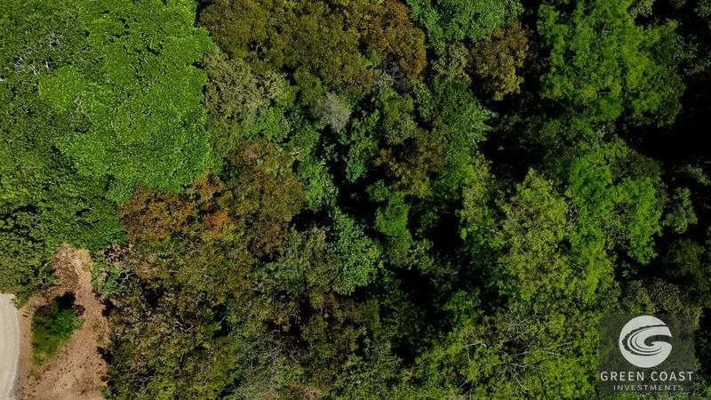 Ocean View Land in Hatillo: 3.34 Acres with Building Site & Trails Near Dominical — view 10, Hatillo, Savegre, Costa Rica