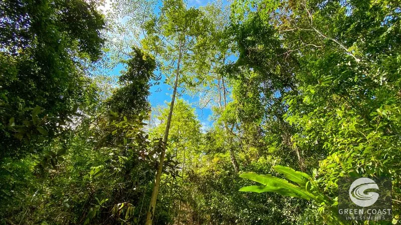 32-Acre Self-Sustainable Off-Grid Farm Near Ojochal with House, Solar Power & River — view 4, Balsar, Cortes, Costa Rica
