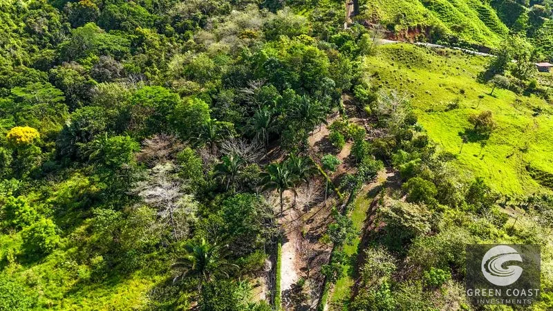 32-Acre Self-Sustainable Off-Grid Farm Near Ojochal with House, Solar Power & River — view 6, Balsar, Cortes, Costa Rica