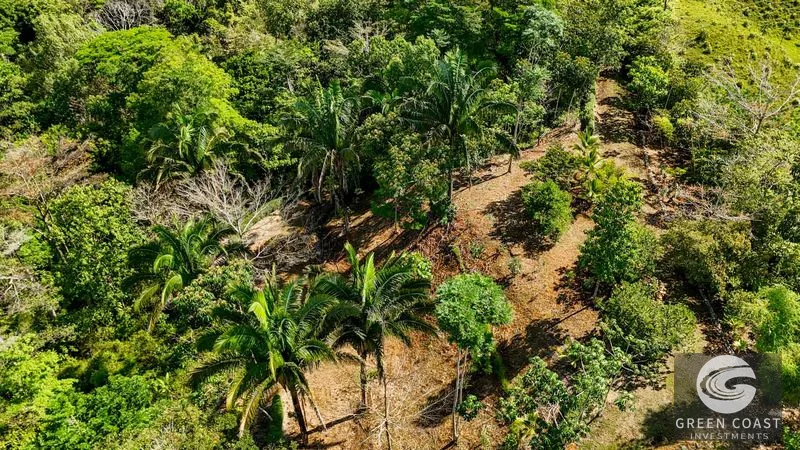 32-Acre Self-Sustainable Off-Grid Farm Near Ojochal with House, Solar Power & River — view 8, Balsar, Cortes, Costa Rica