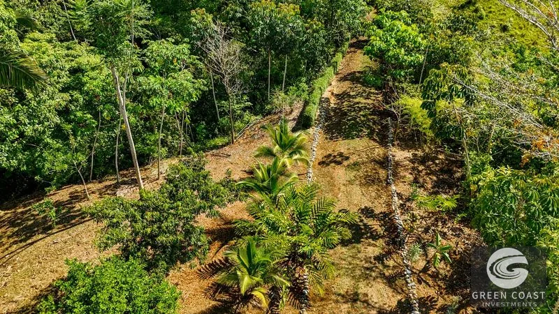 32-Acre Self-Sustainable Off-Grid Farm Near Ojochal with House, Solar Power & River — view 9, Balsar, Cortes, Costa Rica