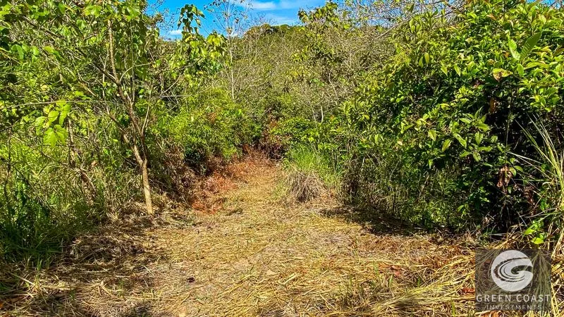 32-Acre Self-Sustainable Off-Grid Farm Near Ojochal with House, Solar Power & River — view 10, Balsar, Cortes, Costa Rica