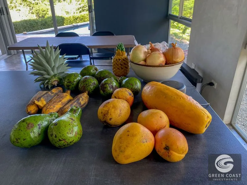 32-Acre Self-Sustainable Off-Grid Farm Near Ojochal with House, Solar Power & River — view 18, Balsar, Cortes, Costa Rica