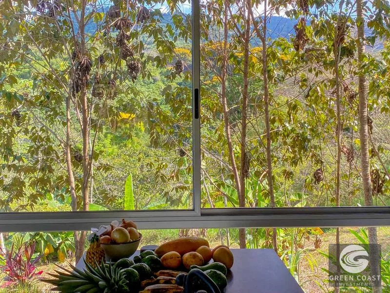 32-Acre Self-Sustainable Off-Grid Farm Near Ojochal with House, Solar Power & River — view 19, Balsar, Cortes, Costa Rica