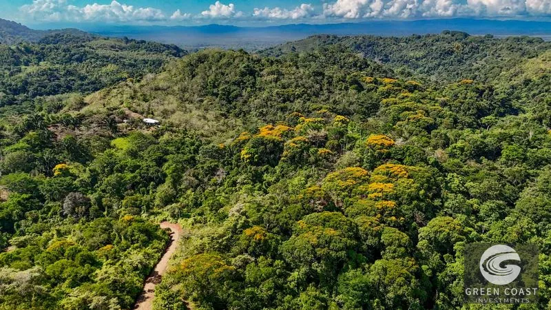 32-Acre Self-Sustainable Off-Grid Farm Near Ojochal with House, Solar Power & River — view 57, Balsar, Cortes, Costa Rica