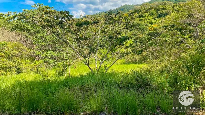 32-Acre Self-Sustainable Off-Grid Farm Near Ojochal with House, Solar Power & River — view 60, Balsar, Cortes, Costa Rica
