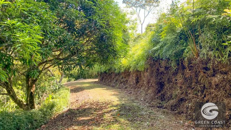 32-Acre Self-Sustainable Off-Grid Farm Near Ojochal with House, Solar Power & River — view 62, Balsar, Cortes, Costa Rica