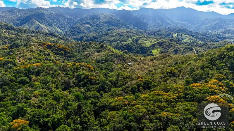 32-Acre Self-Sustainable Off-Grid Farm Near Ojochal with House, Solar Power & River — view 63, Balsar, Cortes, Costa Rica