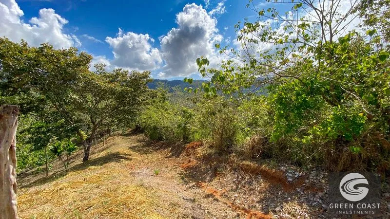 32-Acre Self-Sustainable Off-Grid Farm Near Ojochal with House, Solar Power & River — view 65, Balsar, Cortes, Costa Rica