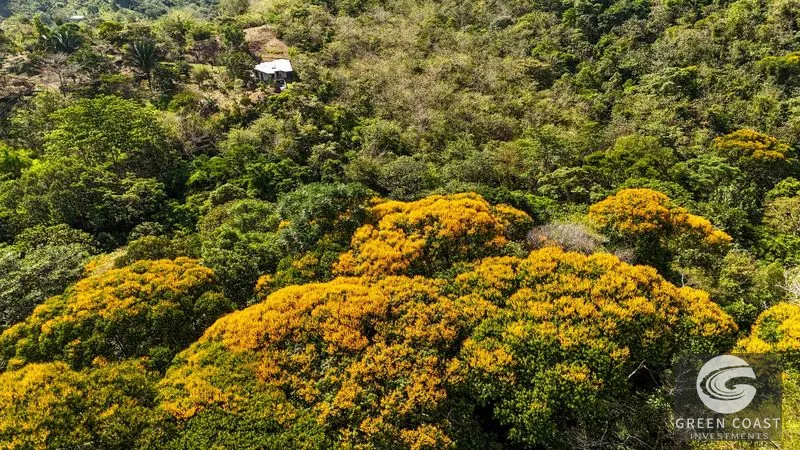 32-Acre Self-Sustainable Off-Grid Farm Near Ojochal with House, Solar Power & River — view 68, Balsar, Cortes, Costa Rica
