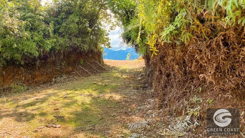 32-Acre Self-Sustainable Off-Grid Farm Near Ojochal with House, Solar Power & River — view 75, Balsar, Cortes, Costa Rica