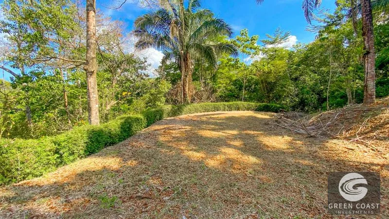 32-Acre Self-Sustainable Off-Grid Farm Near Ojochal with House, Solar Power & River — view 78, Balsar, Cortes, Costa Rica