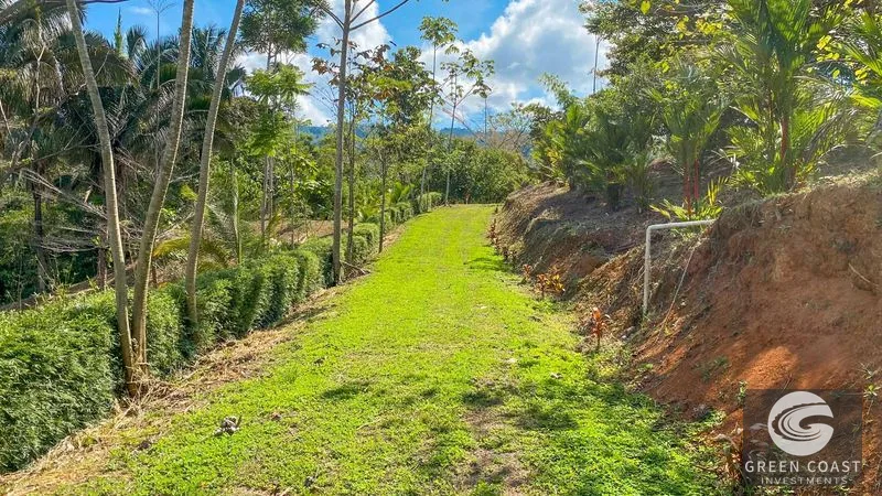 32-Acre Self-Sustainable Off-Grid Farm Near Ojochal with House, Solar Power & River — view 80, Balsar, Cortes, Costa Rica