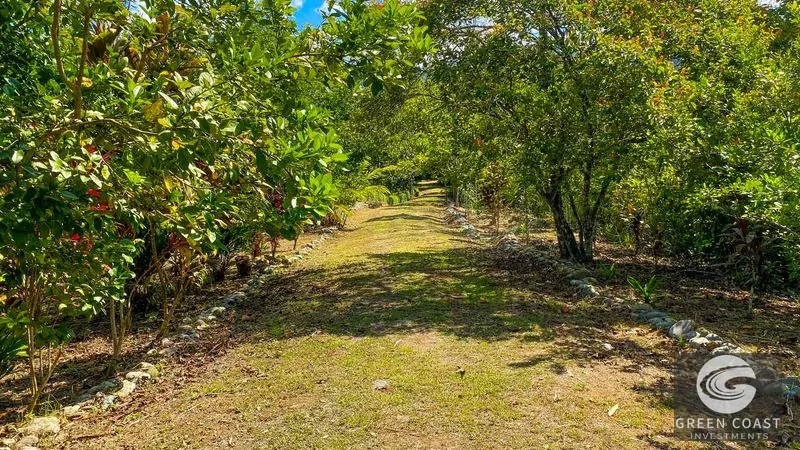 32-Acre Self-Sustainable Off-Grid Farm Near Ojochal with House, Solar Power & River — view 81, Balsar, Cortes, Costa Rica