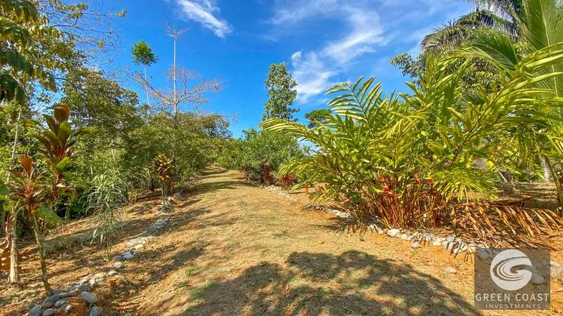 32-Acre Self-Sustainable Off-Grid Farm Near Ojochal with House, Solar Power & River — view 82, Balsar, Cortes, Costa Rica