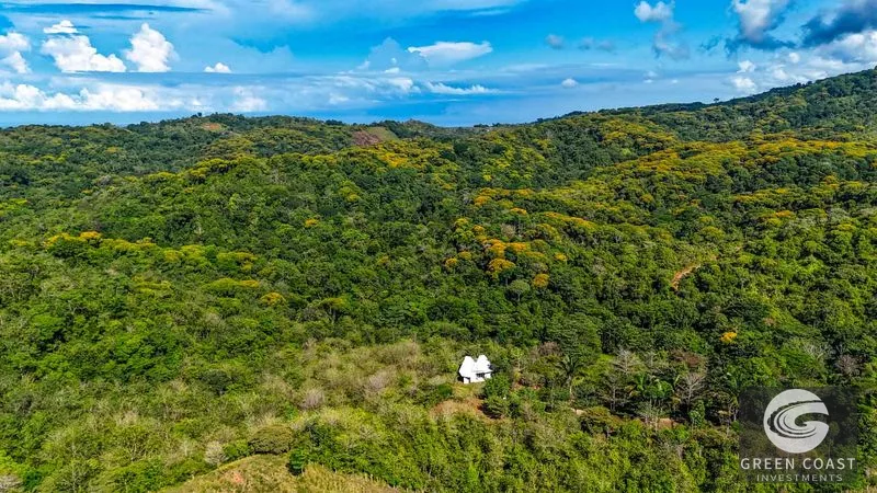 32-Acre Self-Sustainable Off-Grid Farm Near Ojochal with House, Solar Power & River — view 83, Balsar, Cortes, Costa Rica