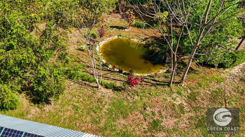 32-Acre Self-Sustainable Off-Grid Farm Near Ojochal with House, Solar Power & River — view 84, Balsar, Cortes, Costa Rica