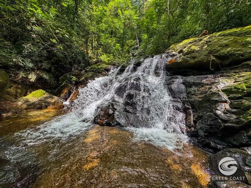 32-Acre Self-Sustainable Off-Grid Farm Near Ojochal with House, Solar Power & River — view 85, Balsar, Cortes, Costa Rica