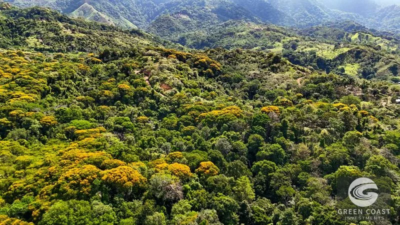 32-Acre Self-Sustainable Off-Grid Farm Near Ojochal with House, Solar Power & River — view 87, Balsar, Cortes, Costa Rica