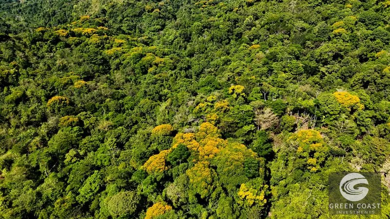 32-Acre Self-Sustainable Off-Grid Farm Near Ojochal with House, Solar Power & River — view 89, Balsar, Cortes, Costa Rica