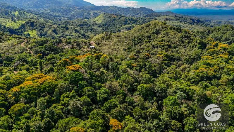 32-Acre Self-Sustainable Off-Grid Farm Near Ojochal with House, Solar Power & River — view 90, Balsar, Cortes, Costa Rica