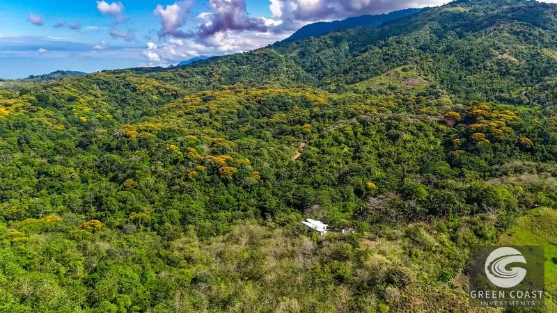 32-Acre Self-Sustainable Off-Grid Farm Near Ojochal with House, Solar Power & River — view 91, Balsar, Cortes, Costa Rica