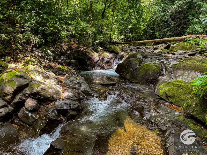 32-Acre Self-Sustainable Off-Grid Farm Near Ojochal with House, Solar Power & River — view 92, Balsar, Cortes, Costa Rica