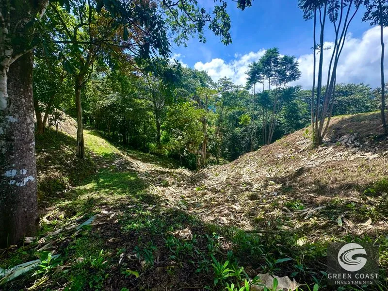 Prime 1.79-Acre Build-Ready Lot in Ojochal with Mountain Views & Utilities — view 7, Ojochal, Ojochal, Costa Rica