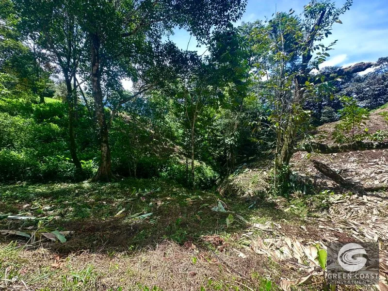 Prime 1.79-Acre Build-Ready Lot in Ojochal with Mountain Views & Utilities — view 22, Ojochal, Ojochal, Costa Rica