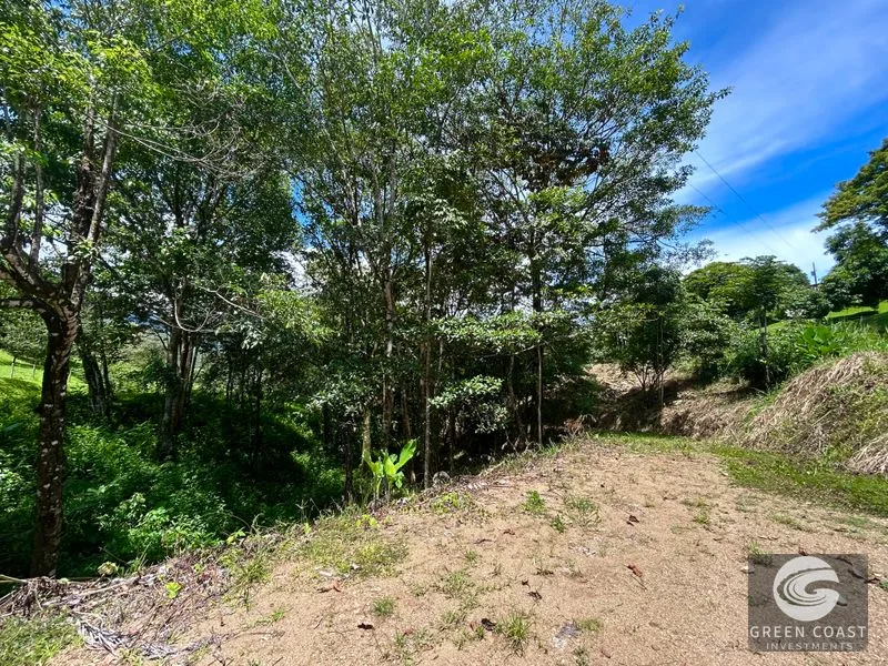 Prime 1.79-Acre Build-Ready Lot in Ojochal with Mountain Views & Utilities — view 25, Ojochal, Ojochal, Costa Rica