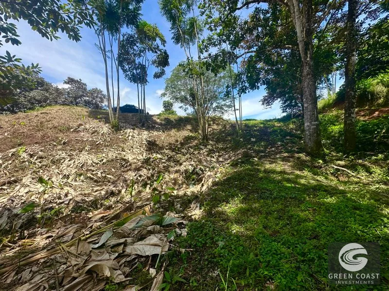 Prime 1.79-Acre Build-Ready Lot in Ojochal with Mountain Views & Utilities — view 26, Ojochal, Ojochal, Costa Rica