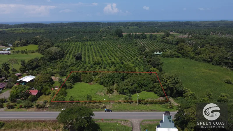 Highway Frontage & Segregation Potential Near Manuel Antonio & Dominical — view 2, Portalón, Quepos, Costa Rica