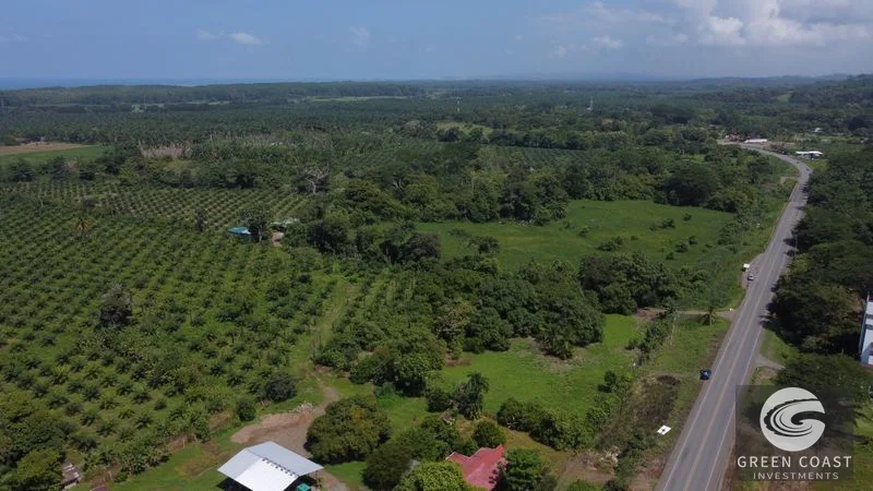 Highway Frontage & Segregation Potential Near Manuel Antonio & Dominical — view 3, Portalón, Quepos, Costa Rica