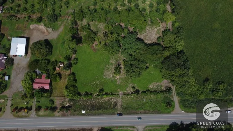 Highway Frontage & Segregation Potential Near Manuel Antonio & Dominical — view 4, Portalón, Quepos, Costa Rica