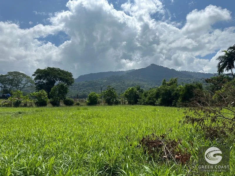 Highway Frontage & Segregation Potential Near Manuel Antonio & Dominical — view 10, Portalón, Quepos, Costa Rica
