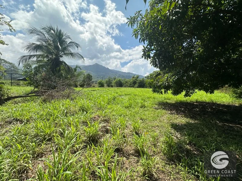 Highway Frontage & Segregation Potential Near Manuel Antonio & Dominical — view 11, Portalón, Quepos, Costa Rica