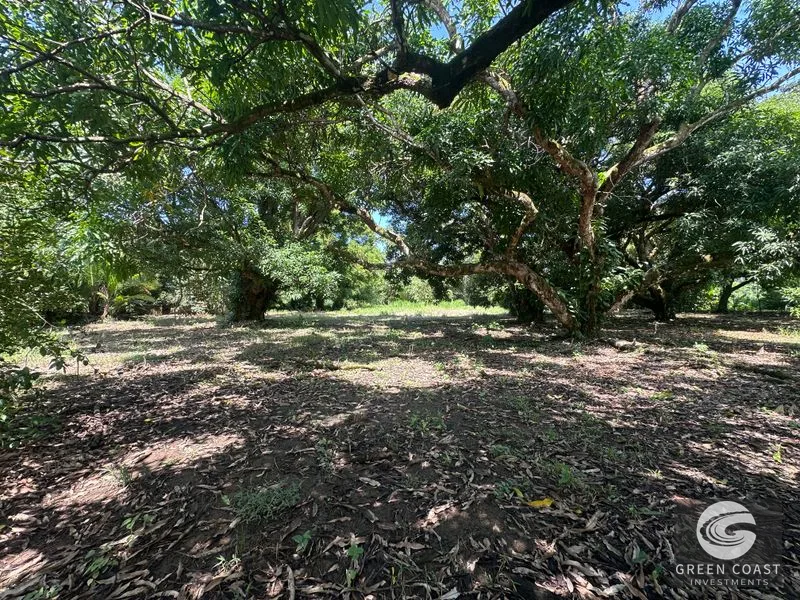 Highway Frontage & Segregation Potential Near Manuel Antonio & Dominical — view 12, Portalón, Quepos, Costa Rica
