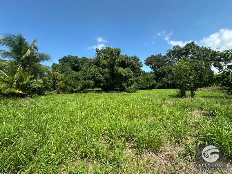 Highway Frontage & Segregation Potential Near Manuel Antonio & Dominical — view 13, Portalón, Quepos, Costa Rica