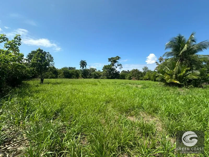 Highway Frontage & Segregation Potential Near Manuel Antonio & Dominical — view 14, Portalón, Quepos, Costa Rica