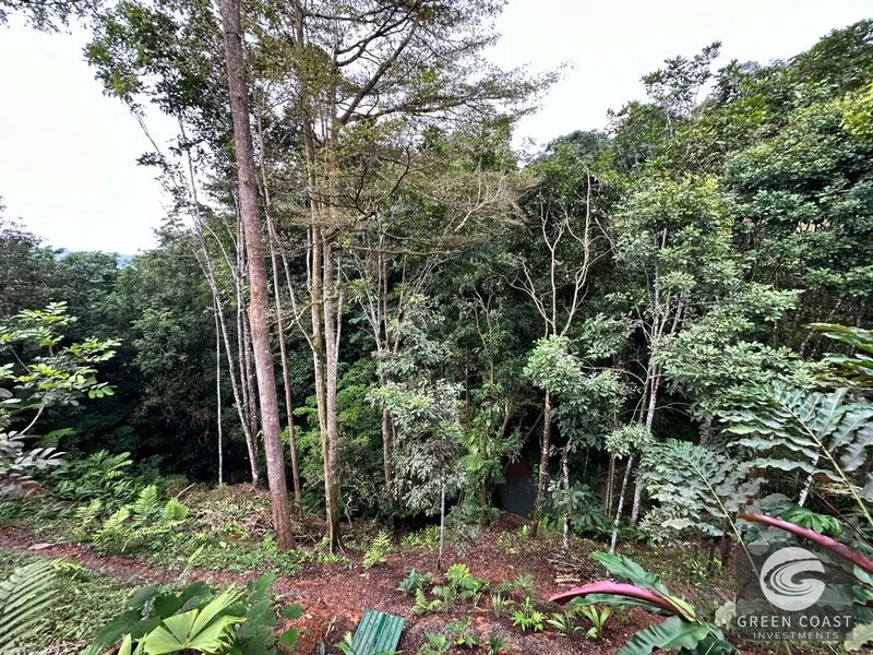 Luxury Teak Estate with Ocean Views & Natural Pool near Dominical — view 8, Barú San José, Pérez Zeledón, Costa Rica