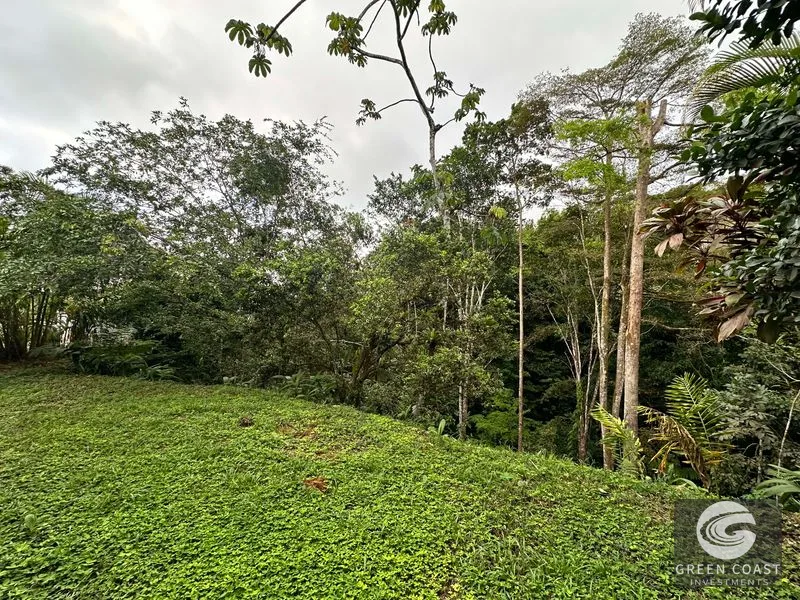 Luxury Teak Estate with Ocean Views & Natural Pool near Dominical — view 11, Barú San José, Pérez Zeledón, Costa Rica