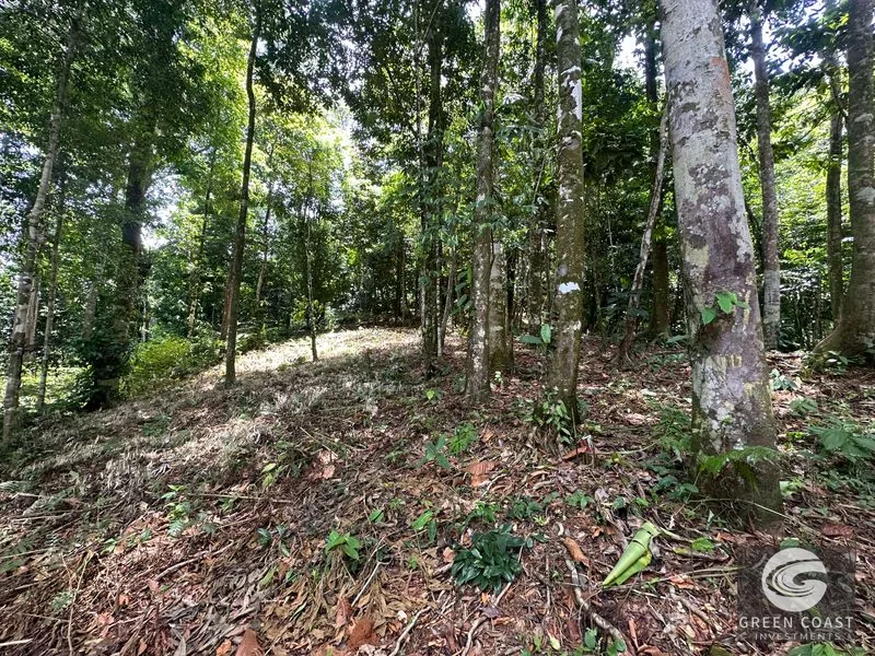Ballena Mountain Estate: 1.6 Acres of Private Jungle Views Near Uvita & Beaches — view 1, Ballena, Ballena, Costa Rica