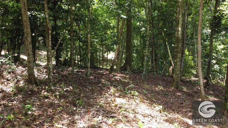 Ballena Mountain Estate: 1.6 Acres of Private Jungle Views Near Uvita & Beaches — view 2, Ballena, Ballena, Costa Rica