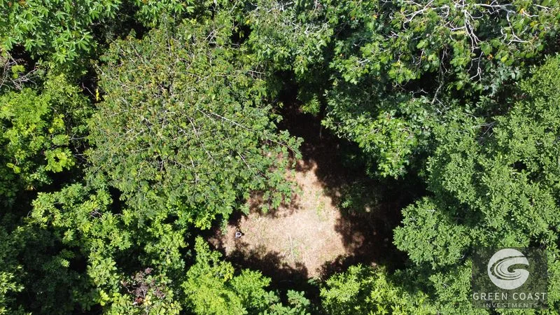 Ballena Mountain Estate: 1.6 Acres of Private Jungle Views Near Uvita & Beaches — view 3, Ballena, Ballena, Costa Rica