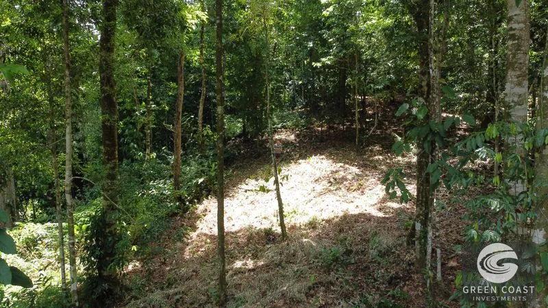Ballena Mountain Estate: 1.6 Acres of Private Jungle Views Near Uvita & Beaches — view 4, Ballena, Ballena, Costa Rica