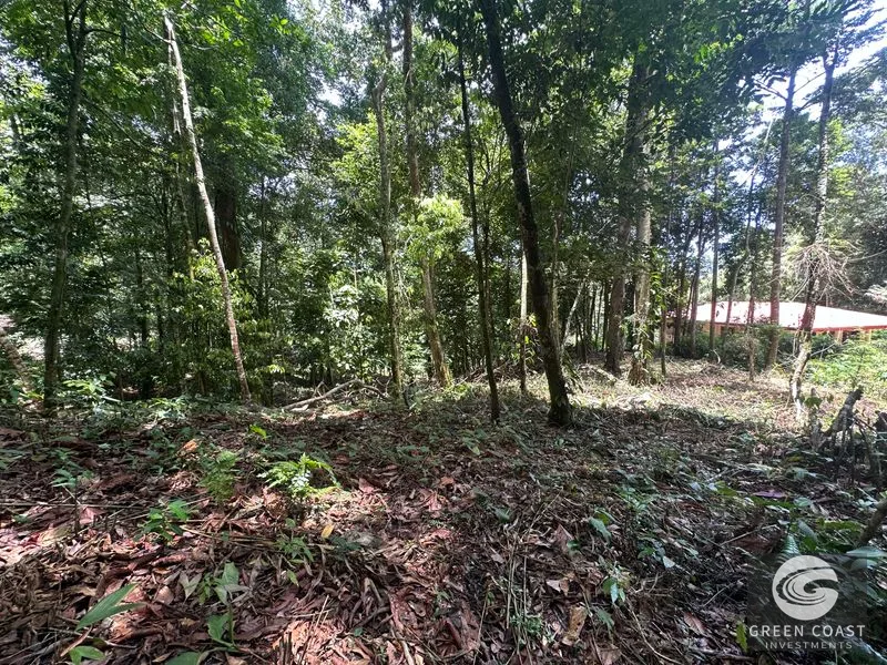 Ballena Mountain Estate: 1.6 Acres of Private Jungle Views Near Uvita & Beaches — view 5, Ballena, Ballena, Costa Rica