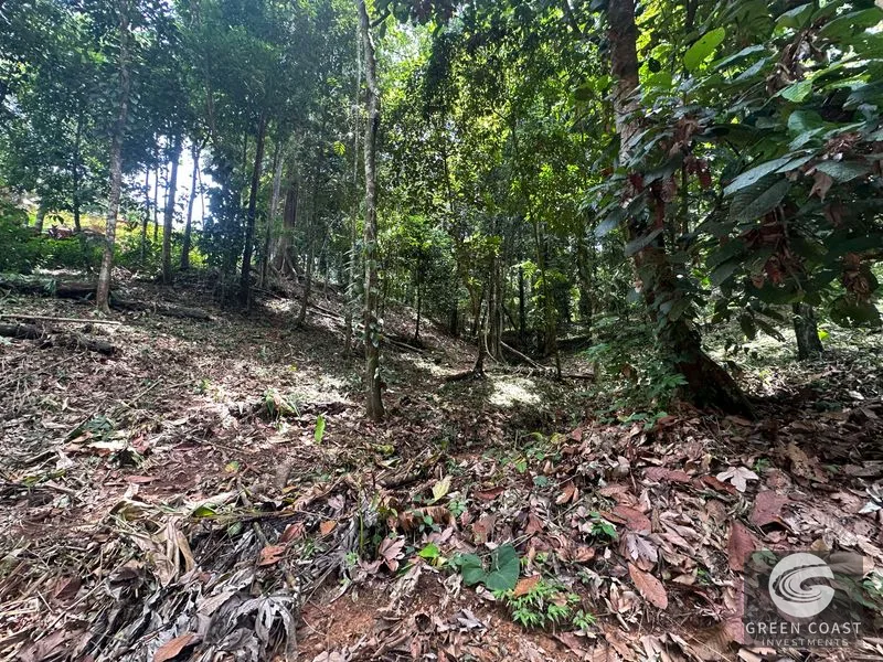 Ballena Mountain Estate: 1.6 Acres of Private Jungle Views Near Uvita & Beaches — view 7, Ballena, Ballena, Costa Rica