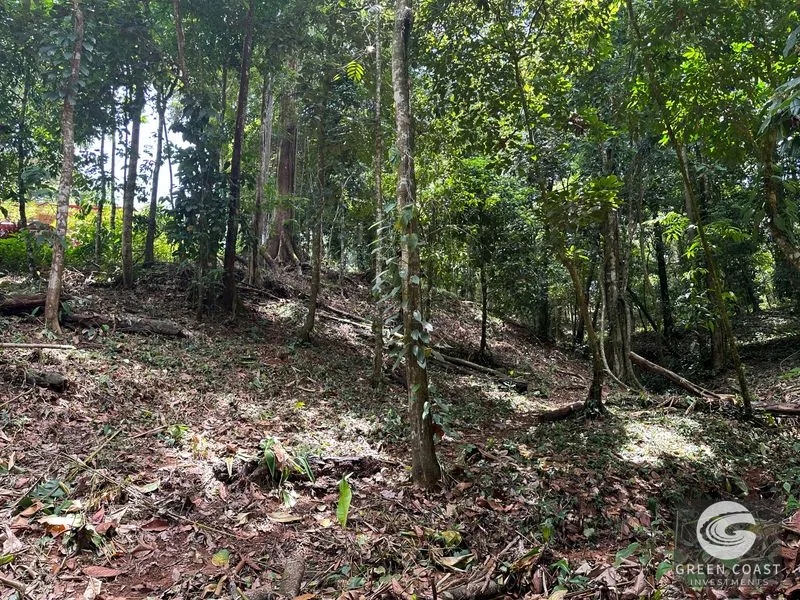 Ballena Mountain Estate: 1.6 Acres of Private Jungle Views Near Uvita & Beaches — view 9, Ballena, Ballena, Costa Rica
