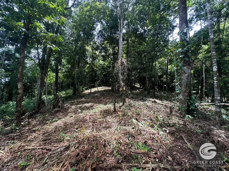 Ballena Mountain Estate: 1.6 Acres of Private Jungle Views Near Uvita & Beaches — view 11, Ballena, Ballena, Costa Rica