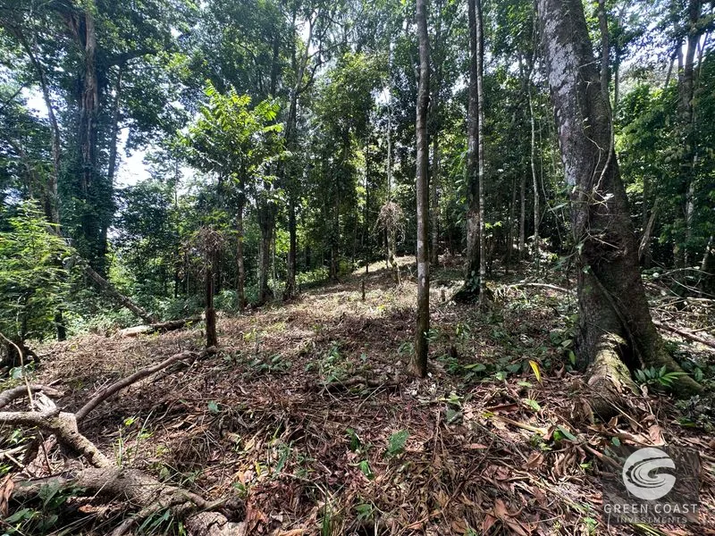 Ballena Mountain Estate: 1.6 Acres of Private Jungle Views Near Uvita & Beaches — view 12, Ballena, Ballena, Costa Rica